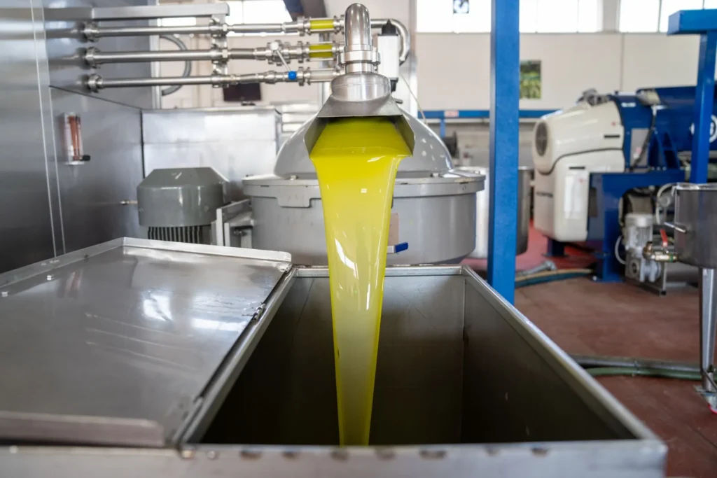 Olio extra vergine appena estratto
